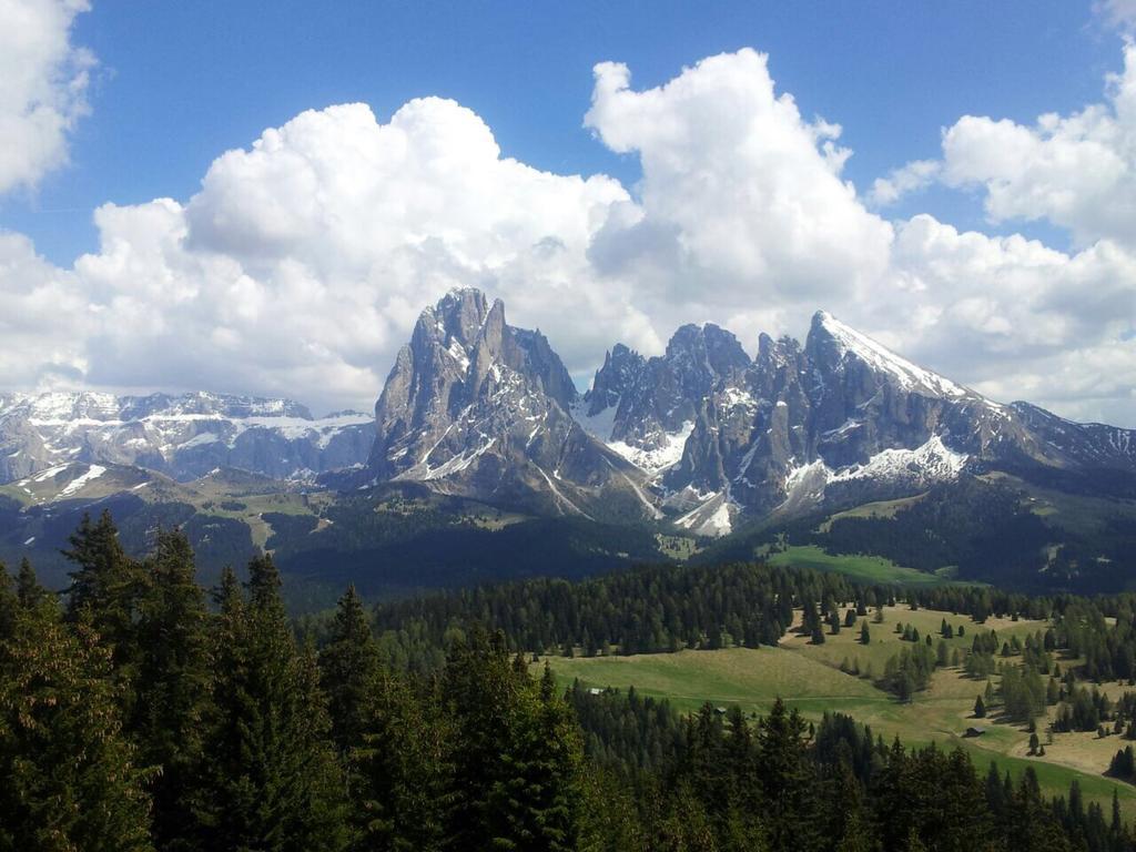Garni Crepaz Bed & Breakfast Selva di Val Gardena Ngoại thất bức ảnh